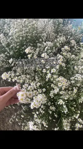 #fyp