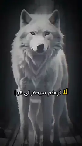 please follow me ❤️🌹✔️👈 #trendin #viralvideos #fypag#fyp#tunisia🇹🇳 #libya🇱🇾#foryoupage❤️❤️#الشعب_الصيني_ماله_حل😂😂