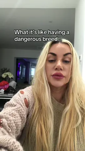 They have a bad reputation but the sweetest dogs #dogs #badrep #jokes #fyp #funny #puppy #puppylove 