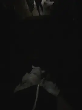 Yêu lại người yêu cũ , ai cũng chả lời là không . Nhưng thật sự là còn tình cảm rất nhiều . Nửa muốn quay lại , nửa không muốn . Nửa còn yêu , nửa vì không muốn hai người tổn thương lần hai . Nếu còn cơ hội chúng ta có bỏ qua tất cả . Để trở về bên nhau một lần nữa không ... ?#vithoai #suyy_ll01 