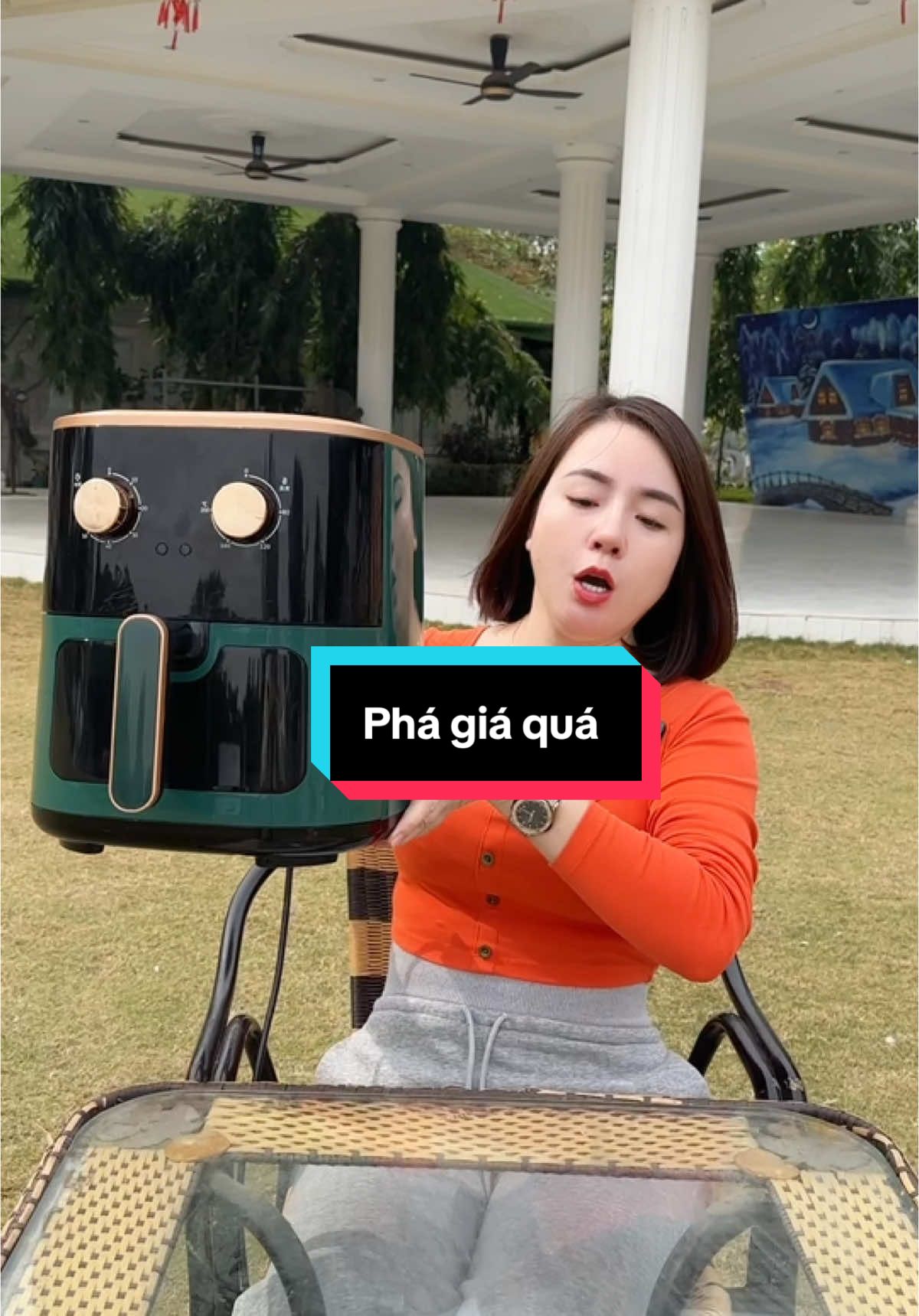 Nồi chiên ko dầu dung tích 13L chỉ hơn 400k #nồi #camel #noichien #noichienkhongdau #xuhuong 