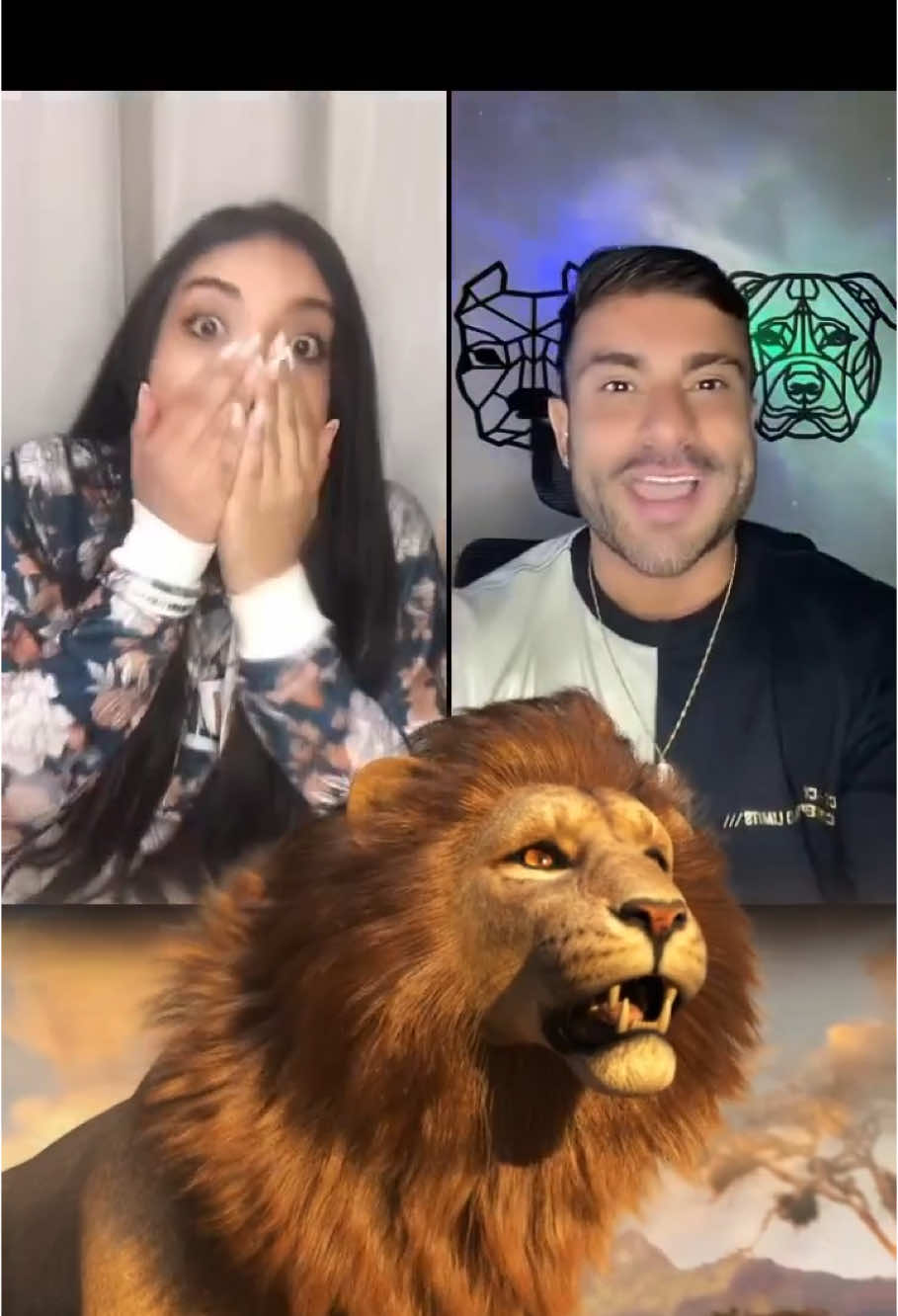 Com o Rugido 🦁 #batalhasdelive #presentesdelive #regalos #leao #tik_tok Obrigada Maineeeeeee