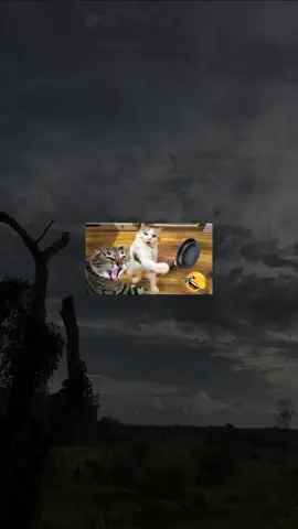 Daru Petiyt Samawenn Mniyani 😞👉👈 #trend #trendingvideo #trending #100k #whatsappstatus #fyp #athal #fyppppppppppppppppppppppp #sadii_girl0 #wadan_tik_tok #wadan #status #fypage #viral #viralvideos 