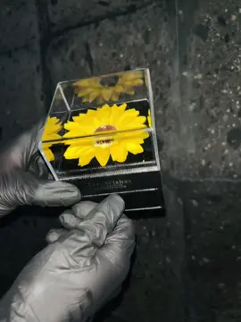 Caja con colgante de flor con zirconias y de girasol eterno ,ideal para hacer un buen regalo a tu pareja  #dropshipping #floresamarillas  #girasoles #crush #princesa  #regalos a#novios #mujeres 