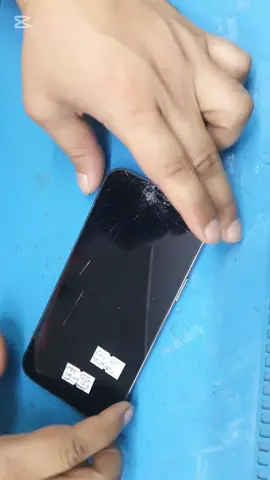 12 Pro Max display change 