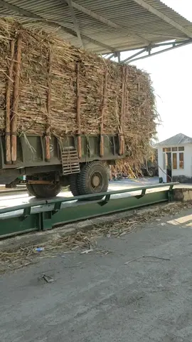 Thằng em chở dữ quá😬#🚜❤️❤️ 