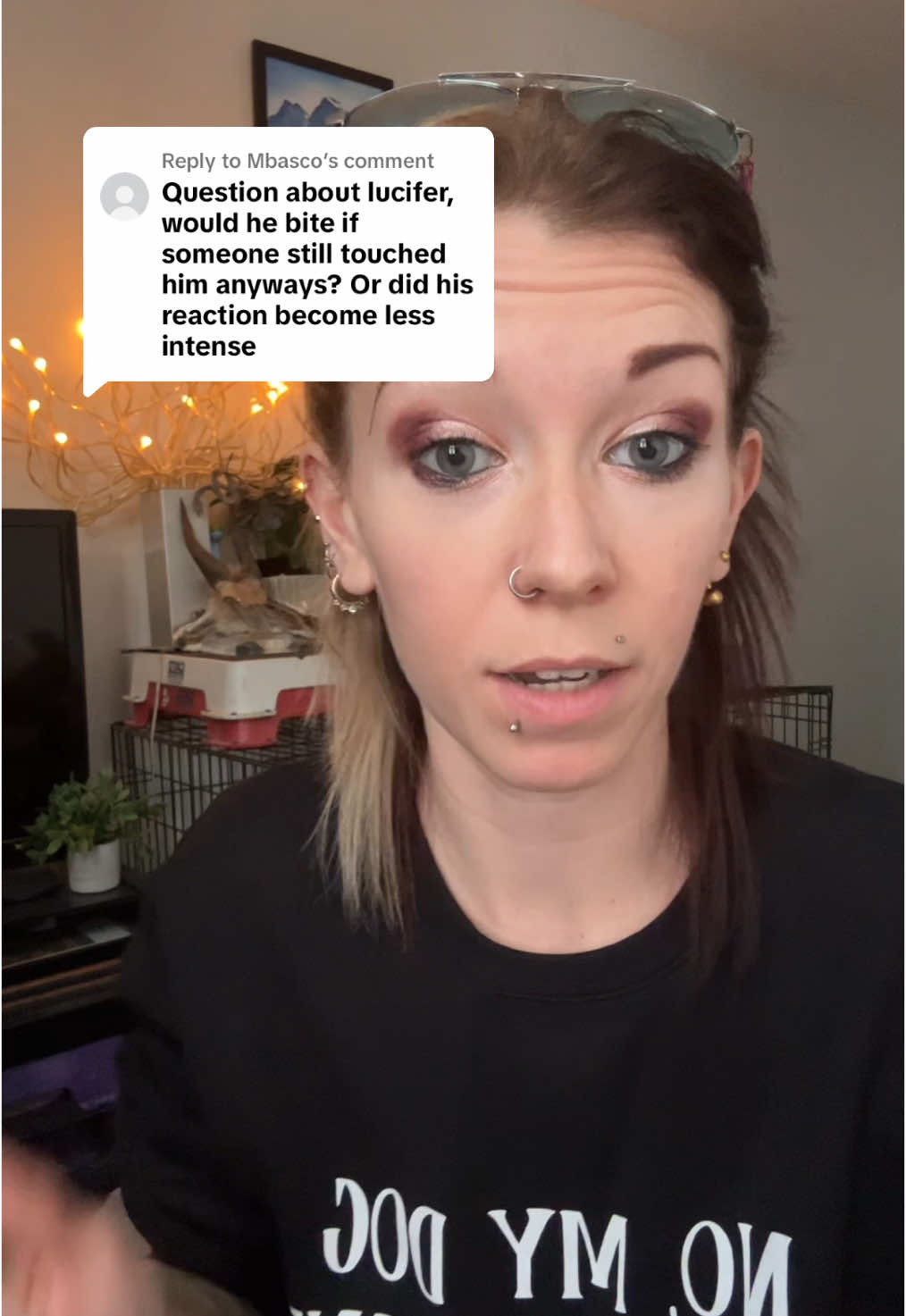 Replying to @Mbasco  Sweater by @Bully Love Boutique #dogbite #dogbites #muzzle #muzzleddog #DogTraining #dogtrainer #muzzleddogsaregooddogs #reactivedog #toronto #demodog #germanshepherd #fyp 