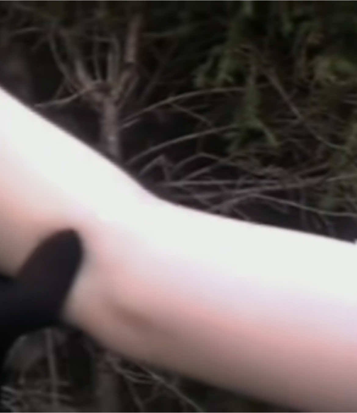 Film - Dolphin:Burning bush  in YouTube #nostalgia #real #corecore #fallenangel #dolphinburningbush #angelcore #morute #aesthetic #lobotomy 