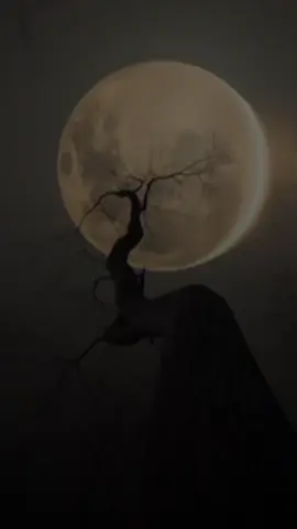 #نوال_كويتيه#explore#foryou #foryou #2025#new #ويكيند#اغاني#هواجيس  