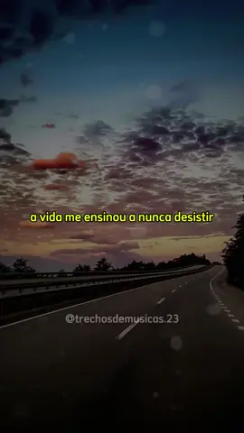 A vida me ensinou a nunca desistir 🎶 #charliebrown #musicas #musica #pop #status 
