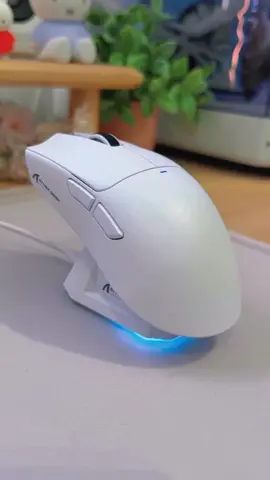 1002(18)Chuột Không Dây Bluetooth Chuyên Gaming Ziyou Attack Shark X11 Chip Khủng PAW3311 Pollingrate 1Khz 22000DPI #tiktoktech #decor #setup