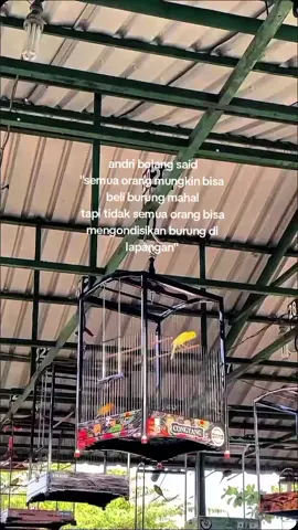 🙏#storykicaumania #fypviral #kenarigacor #kenarimania #kenariprospek #kicaumaniaindonesia #kenari #kenarijuara #fyp #fypppppppppppppppppppppp 