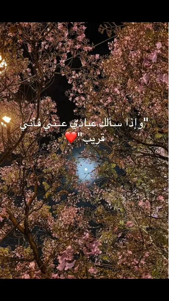 #قران_كريم #استغفرالله 