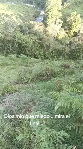 #ejercitocolombiano#milicias #guerrillas