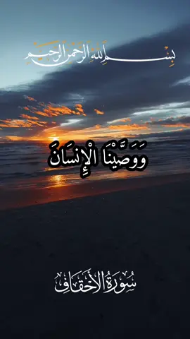 قرآن_Quran#ووصينا_الإنسان_بوالديه_إحسانا #سورة_الأحقاف #عبد_الباسط_عبد_الصمد #القرآن_الكريم #quran_alkarim #تلاوات_قرآنية #تلاوات_خاشعة #آيات #راحة_نفسيه #اكسبلورexplore 