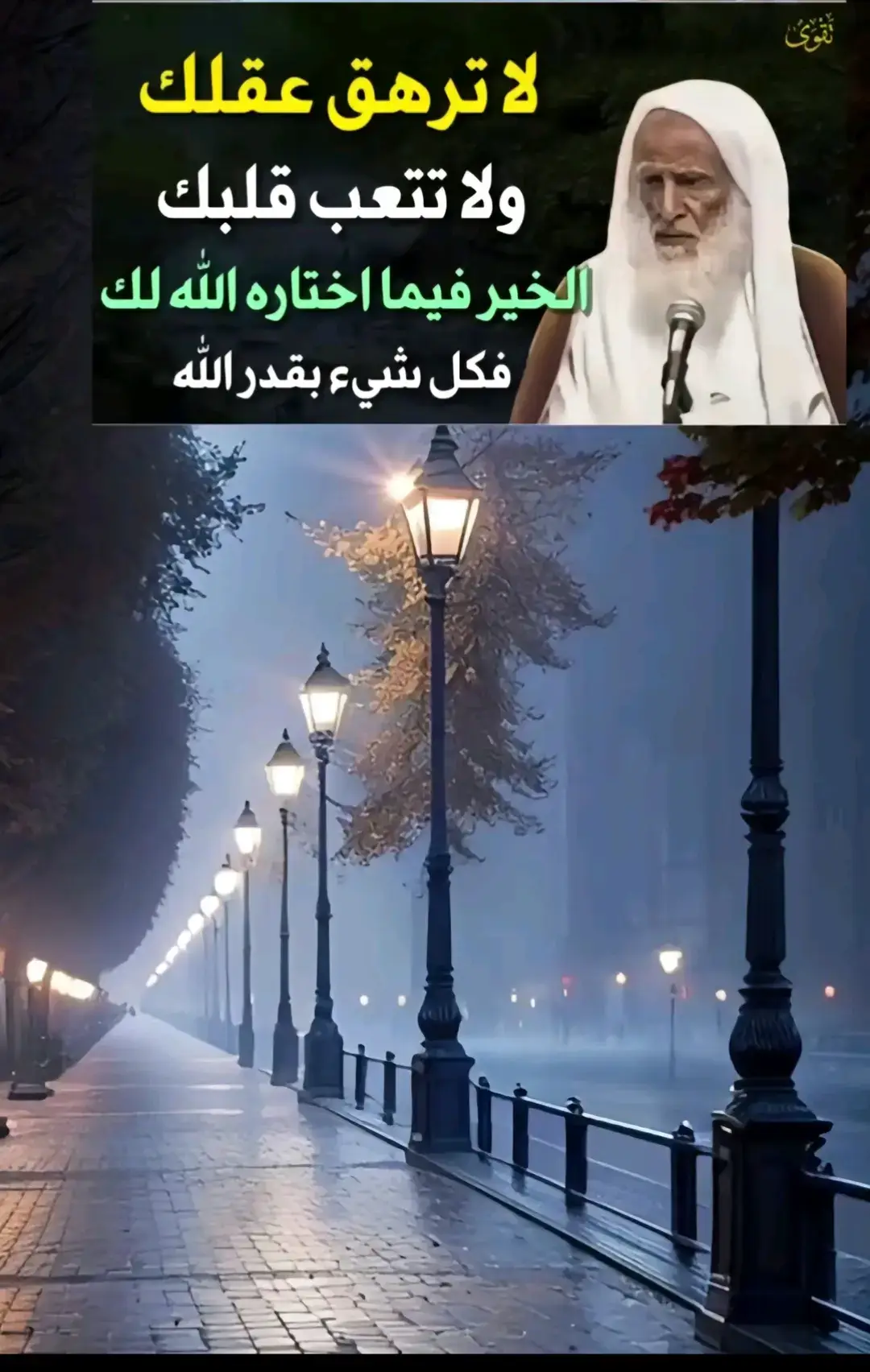#ابن_العثيمين_رحمه_الله #الشيخ_فركوس_حفظه_الله #عبد_الرزاق_البدر #صالح_الفوزان #صدقة_جارية 