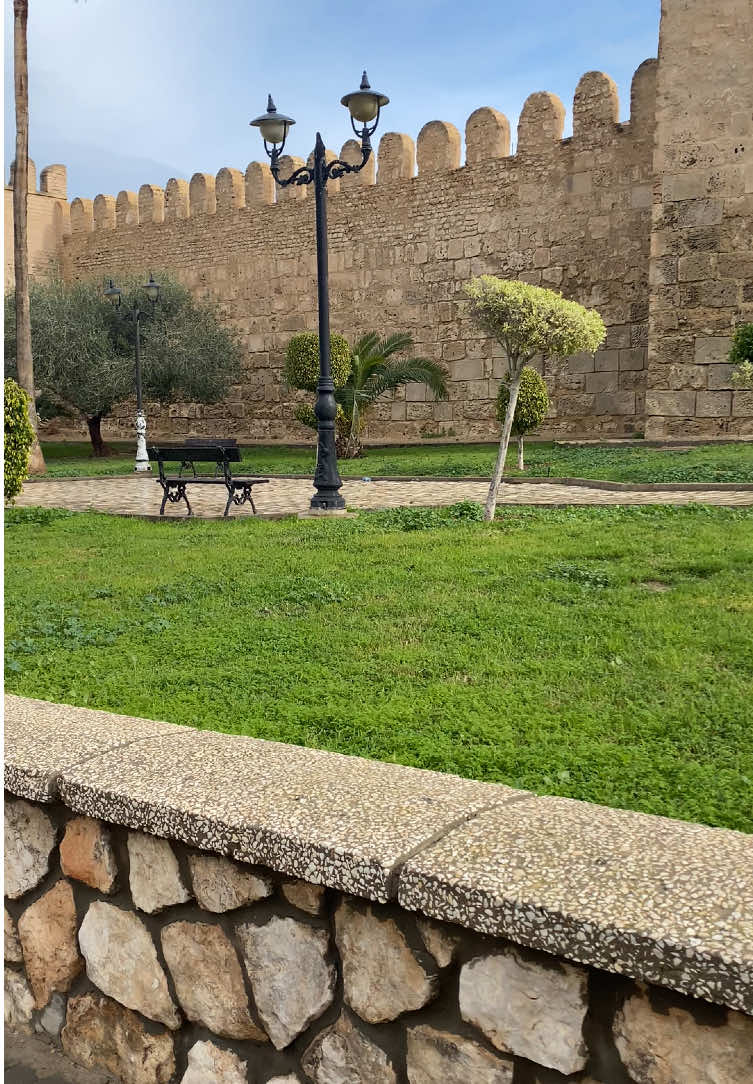 #tunisia🇹🇳_algeria🇩🇿_maroc🇲🇦  #soussa🇨🇺  #homesweethome  #beautiful💕❤️