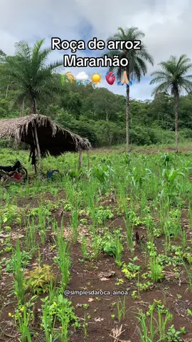 Cena linda 🥹🌾🙌🏼