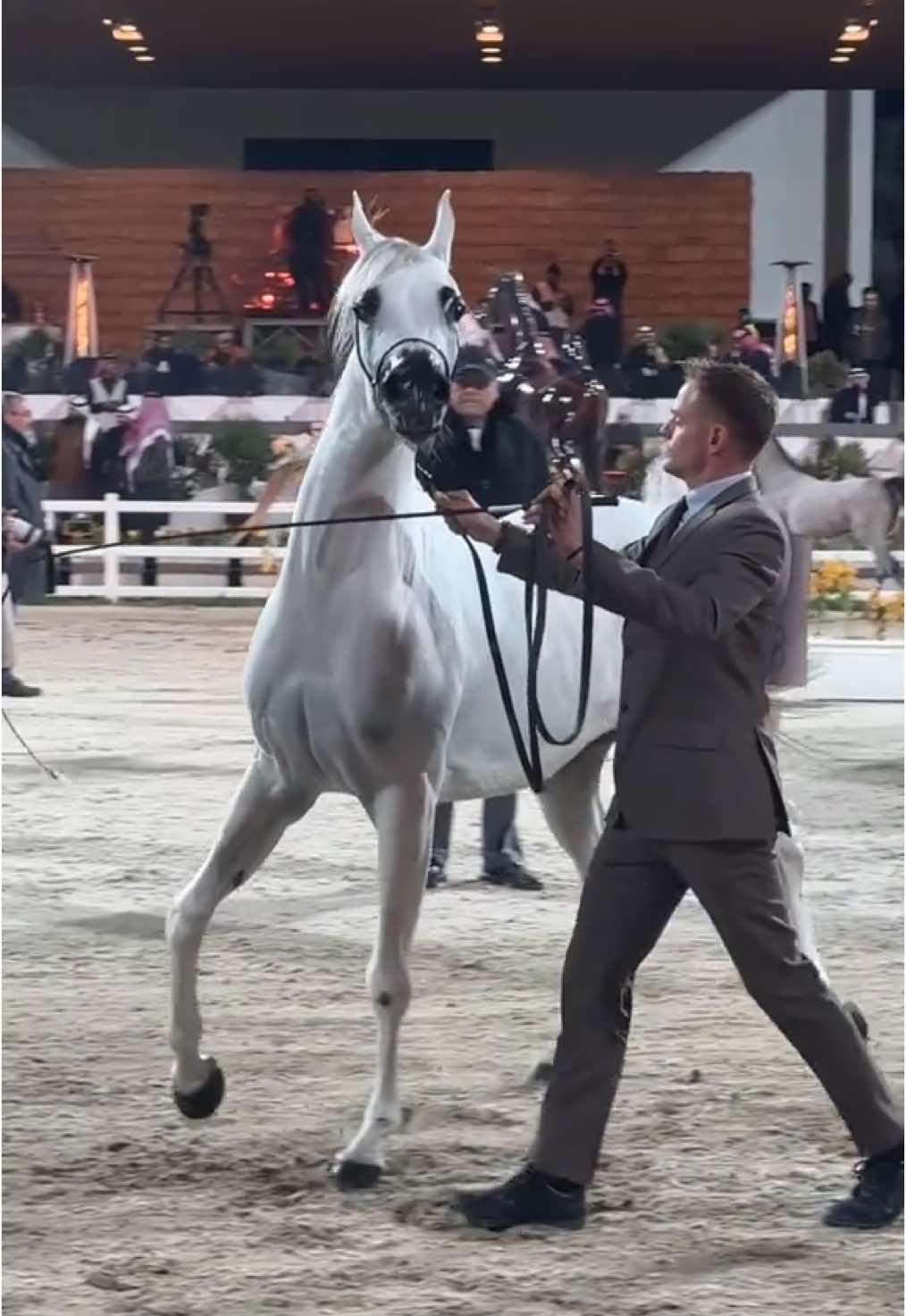 بطولة الجمال للخيل العربي الأصيل ❤️🌿 #fypシ #explor #foryou #explorepage #CapCut #الكويت🇰🇼 #خيل_الكويت #بيت_العرب #بيت_العرب_الكويت #بيت_العرب_الكويت #خيل_الكويت #خيل_عربي #خيل_عربي_اصيل♥️🐎 #خيل_وخياله🐎🖤ماشاءالله_اللهم_بارك🧿♥️ #بيت_العرب  #خيل #خيل_وخياله🐎  - خيل عربي اصيل - خيل - جمال الخيل العربي من يعلم يستريح الريح - خيل عربي أصيل - جمال الخيل العربي الأصيل  