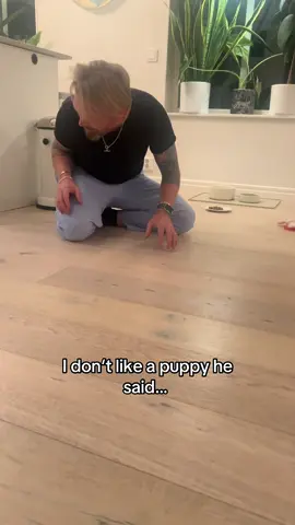 #maltipoo #Love #cutepuppy 