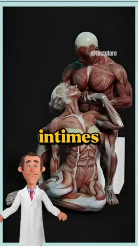 qu'est ce qui peut arriver aux femmes qui n'ont pas eu de relation sexuel pendant une longue période. #sante #femme #Relationship #facts #humanbody #france🇫🇷 #paris