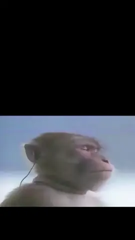 nfs #needforspeed #ps2 #ridersonthestorm #snoopdogg 