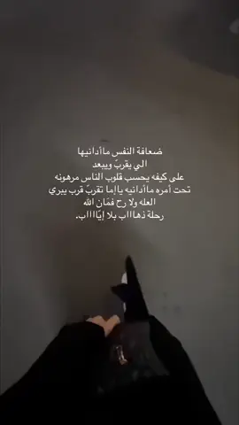#explore #viral #عمر_بن_هذال #الوليد 