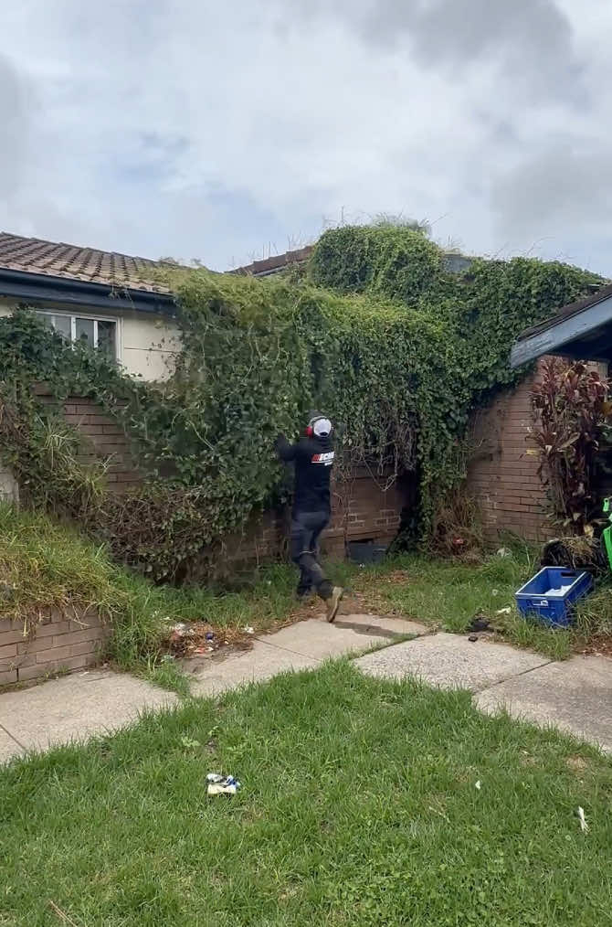 It took over the house and then I came for a visit. #asmr #Home #garden