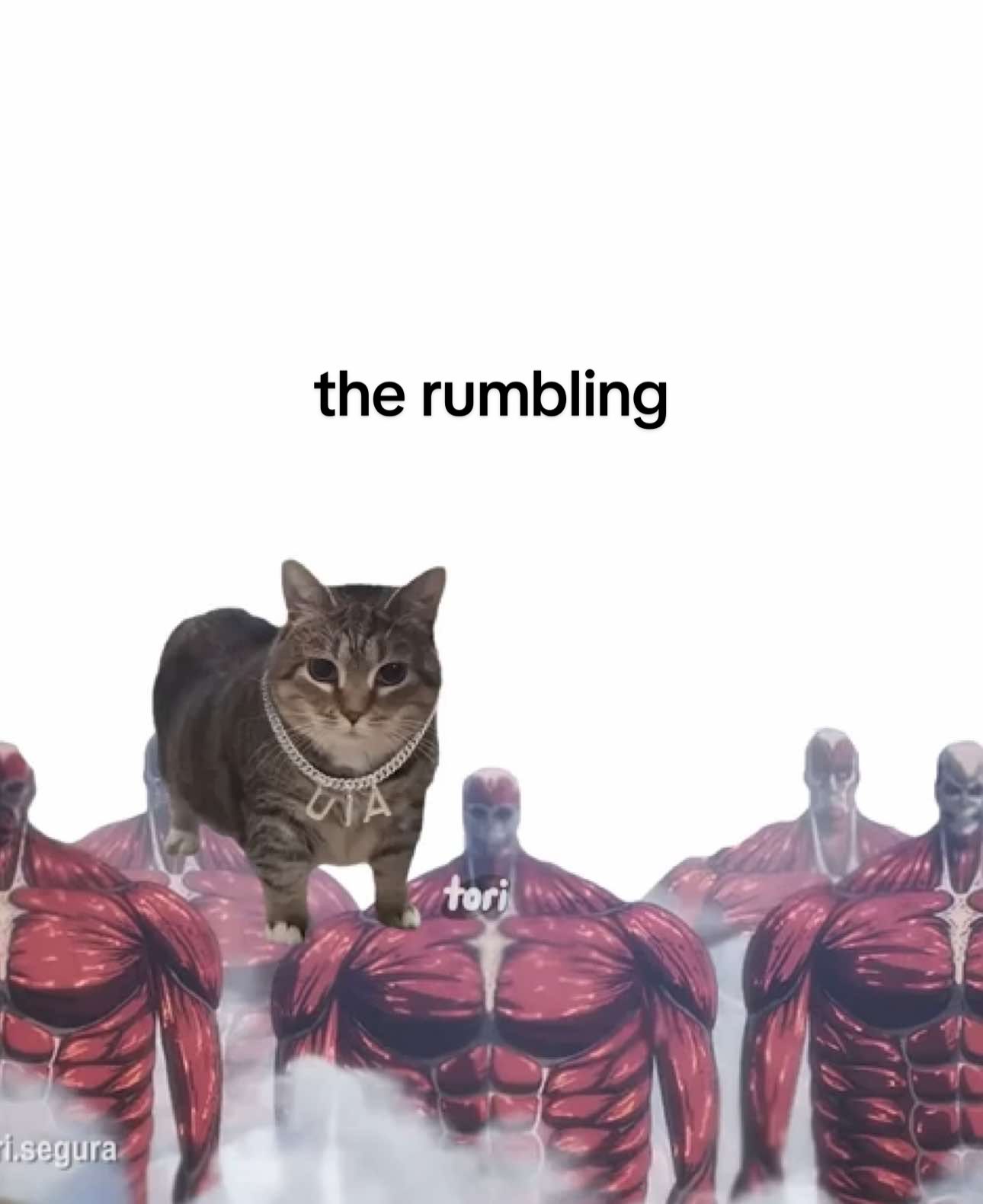 u i rumbling 💥 #cats #AttackOnTitan #rumbling #lyrics #fyp 