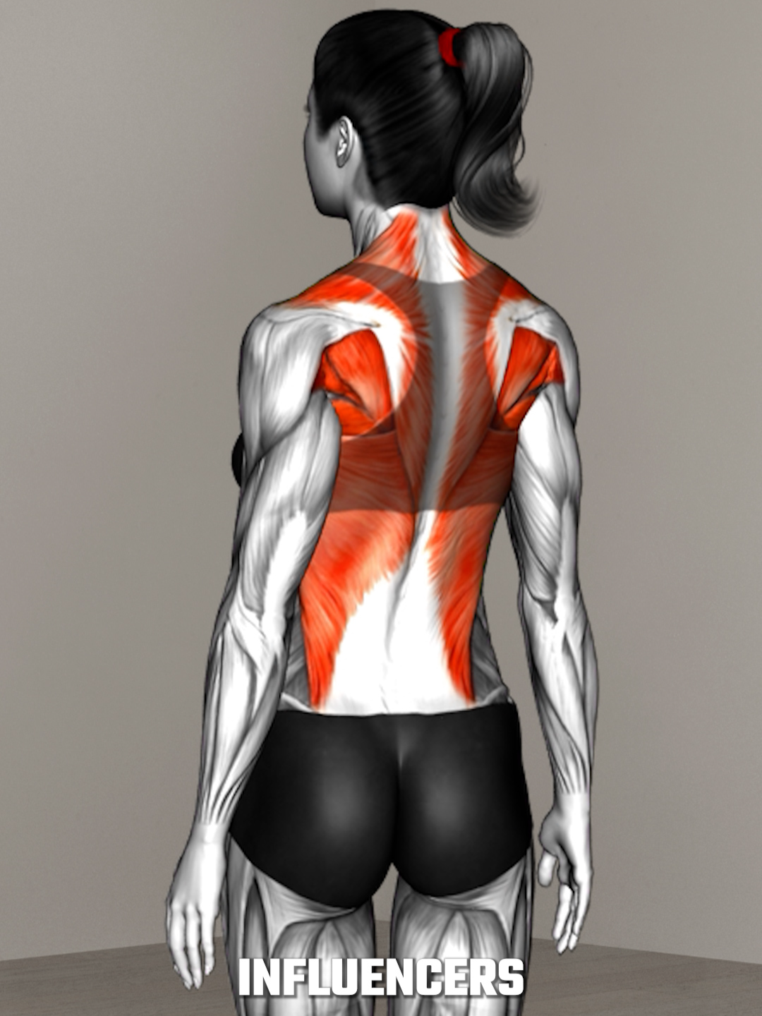 Nuestra rutina más popular que siguen las influencers fitness para definir su tren superior en el GYM. 🔥 . 1. Jalón al pecho en polea agarre abierto: 3 series de 15 repeticiones 2. Remo con mancuernas agarre neutro: 3 series de 15 repeticiones 3. Elevaciones laterales con mancuernas: 3 series de 20 repeticiones 4. Elevaciones frontales alternadas con mancuernas: 3 series de 20 repeticiones 5. Curl con barra z agarre cerrado: 3 series de 12 repeticiones 6. Curl inclinado en banco con mancuernas: 3 series de 12 repeticiones . #espalda #brazos #hombros #Entrenamiento #fitness #gimnasio#fitgirl