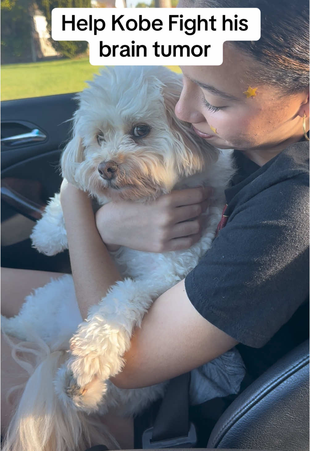 I truly never ask anybody for anything, but in this case, I am desperate to try to save my dog’s life, anything will help, no amount is too small. #dogmomsoftiktok #momsandaughters #doglover#twintalk#MomsofTikTok #fyp #viral