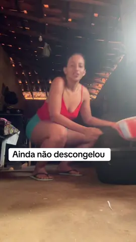 Ainda não descongelou #tiktokviral #RegistroDevida 