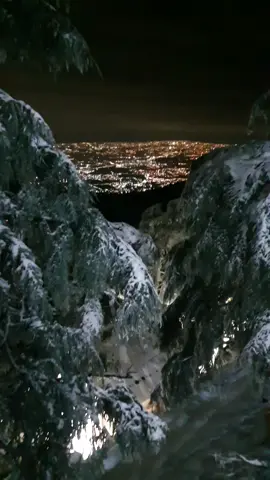 #chrea #chreablida09 #Algérie #louction_chelt #chrea #شعب_الصيني_ماله_حل😂😂 #