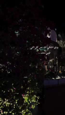 #اكسبلورexplore_o_الهشتاقات؟_اكسبلور #تصويري📸اكسبلوور #الرياض 