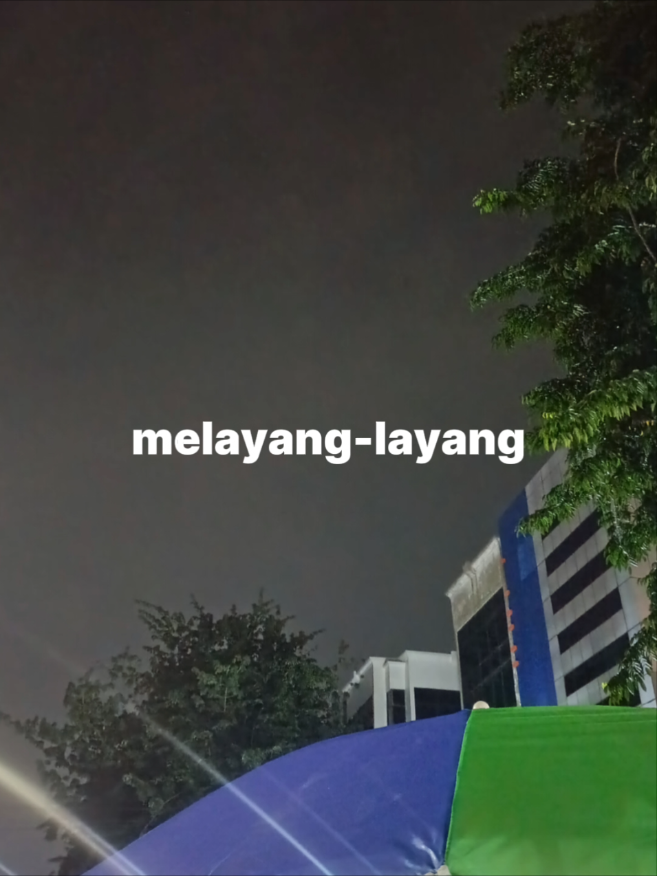 Versi lirik ikan hiu melayang-layang 🕺🎧 #fypp #overlaylirik #templatelirik 