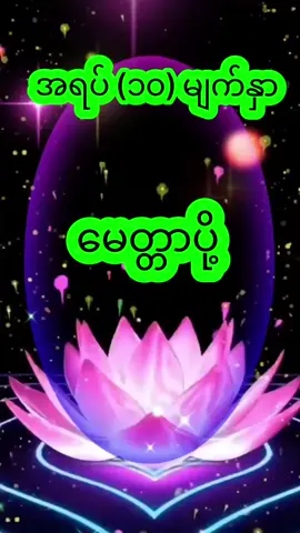 အရပ်ဆယ်မျက်နှာ  မေတ္တာပို့ 🙏🙏🙏🙏🙏🙏