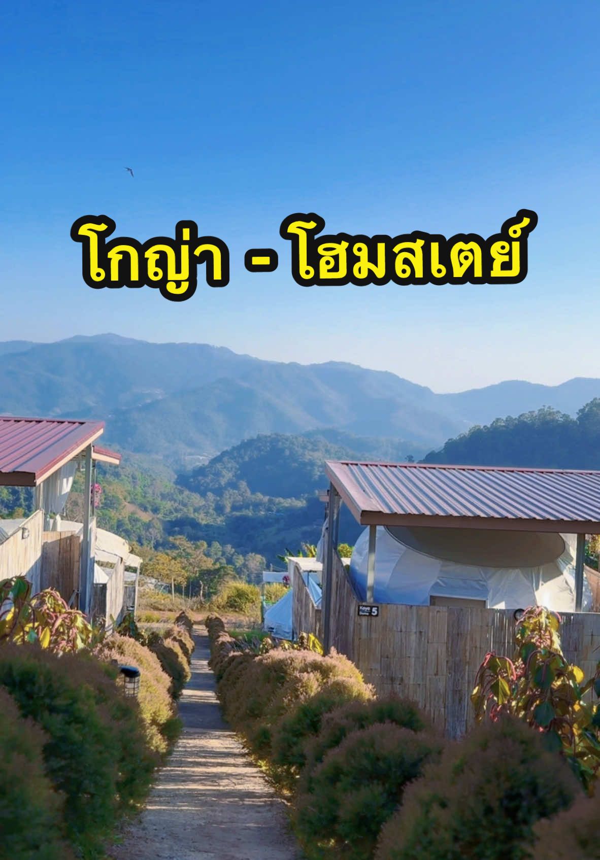 บรรยากาศม่อนแจ่ม… #ปโจ้ #ปโจ้ไม่ได้เป็นเกย์ #พี่โจ้ครับ #ปธัญวิทย์ #งดดราม่า #กระแส #กระแสมาแรง #ติวเตอร์โจ้ #บันเทิงtiktok #ฟีดดดシ #tutortanjo #ปพี่โจ้ #ยืมลงสตอรี่ได้นะ #พี่โจ้ #ปลัด #ตํารวจ #บ้านฉัน #ปลัดเทศบาล #ฟีต #ขับไปบ่นไป #ย่าปิดการมองเห็น 