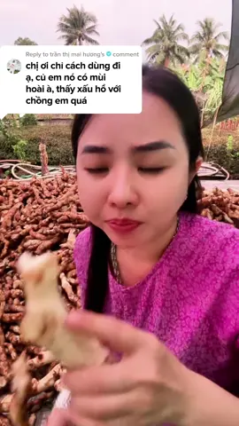 củ cát lồi, củ mía dò #namcadida #huyettrang #viemlotuyen #viemamdao #benhphukhoa #suckhoe #baithuocdangian #cucatloi #cumiado #catloi #phunu #thaoduocmientay
