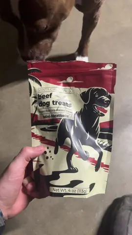 #santacruzmedicinals best dog treats out #fyp #viral #viralvideo #basedbodyworks #viralvideo #The #fypシ゚viral #foryoupage 