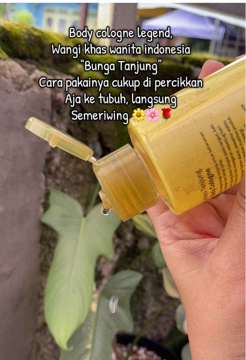 #bungatanjung #bodycolognesariayu #sariayubunggatanjung 
