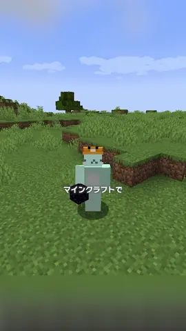 黒曜石よりも硬いブロックが！？【マイクラ豆知識 解説 裏技】