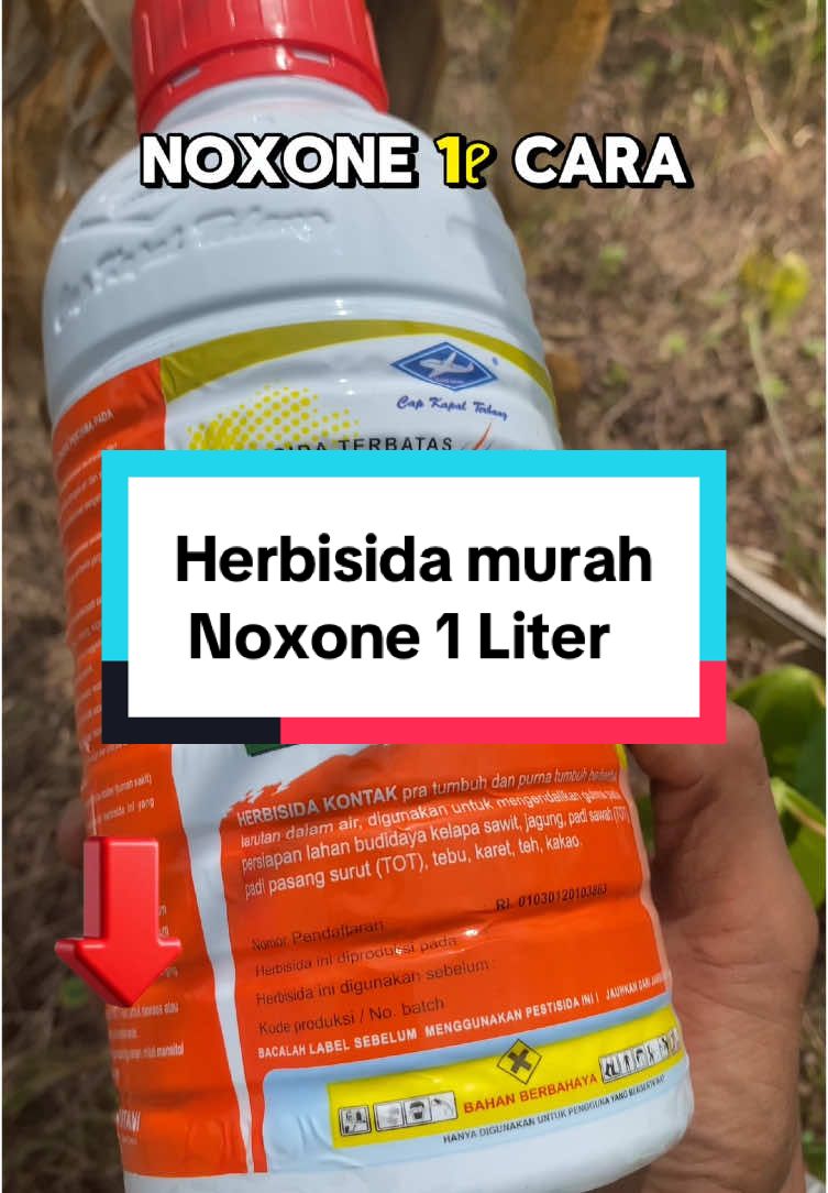 Herbisida Noxone 1 liter pembasmi rumput sampai akarnya #herbisida #noxone #pembasmirumput #pembasmigulma #petanijagung #petaniindonesia🇮🇩🇮🇩🇮🇩🌿🌿 