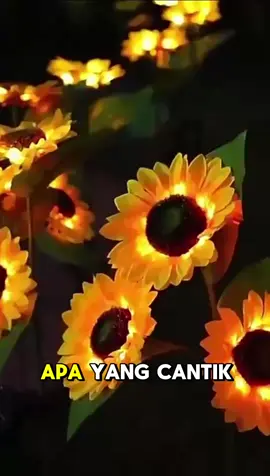 Antek sangat lampu bunga matahari ni