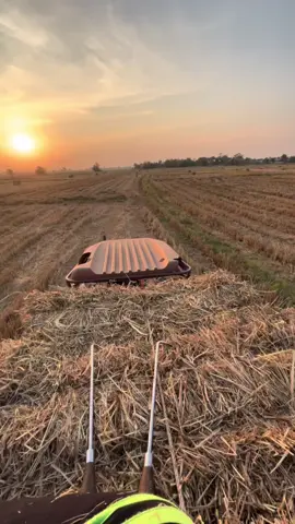 🌤️🌾💛#ไชยยันต์๑๖๘💯 #cicoria🇮🇹 #ฟางอัดก้อน #วัยรุ่นอัดฟาง🌾🌾 #ฟางอัดก้อนโคราช #ฟางอัดก้อนปักธงชัย ##fyp #ฟีดเถอะ 