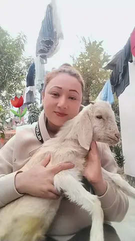 #chahupasspassaana❤️🙈 #