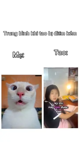#xuhuong 