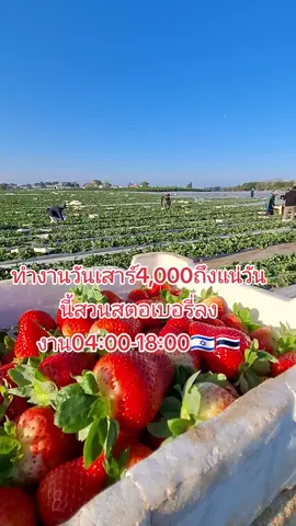 4000ถึงแน่🇮🇱🇹🇭