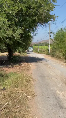 สดเละเทะ ทั่งรถ ทั่งอ้อย🤣🤣#ส_พานิชย์🇨🇷 #อ้อยด่วนศรีเทพ🚛💨🎋 #ฝากติดตามหน่อยค้าบบ🥰 