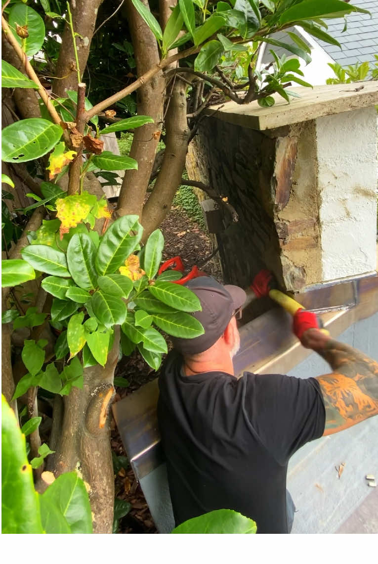 A step in the right direction 