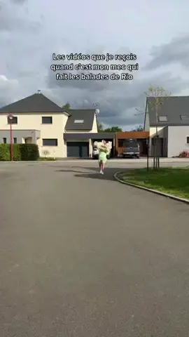 Mes vidéos préf 😭 #goldenretriever 